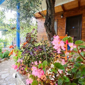 https://holiwood.albaniahotels.org
